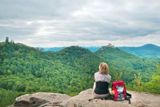 Meditative Pilgerwanderung auf dem Sternenweg in der herbstlichen Südpfalz