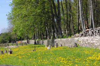 Meditative Pilger­wan­de­rungen im UNESCO-Bio­sphä­ren­reser­vat Blies­gau