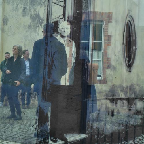 Galleriebild #10