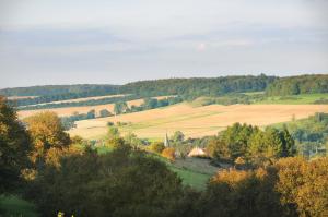 Galleriebild #3