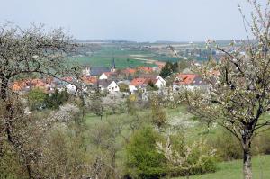 Galleriebild #1