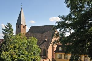 Galleriebild #1