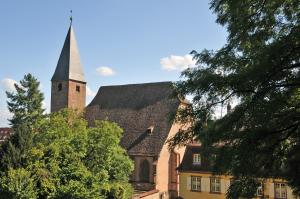 Galleriebild #1