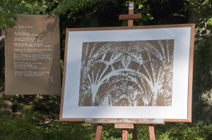 Galleriebild #10