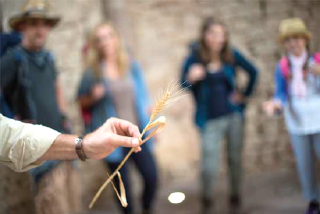 Guided hikes