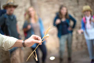 Guided hikes