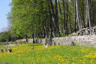Pèlerinages méditatifs dans la réserve de biosphère UNESCO de Bliesgau