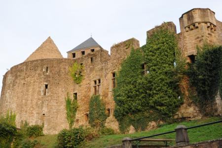 Galleriebild #1