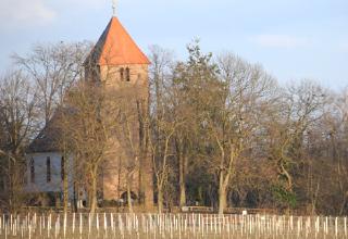 Pierre coquillage Wollmersheim