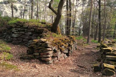 Galleriebild #7