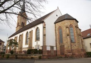 Muschelstein Deidesheim