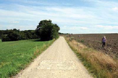 Galleriebild #12