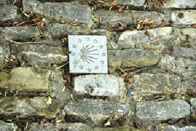 Galleriebild #12