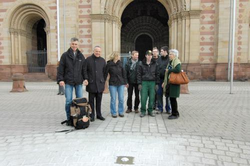 Galleriebild #9