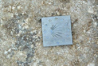 Galleriebild #11
