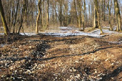 Galleriebild #2