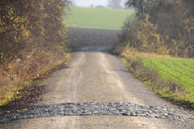 Galleriebild #3