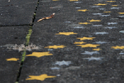 Galleriebild #3